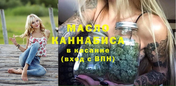 амф Верхний Тагил