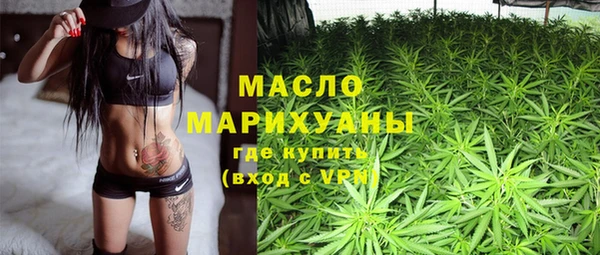 амф Верхний Тагил