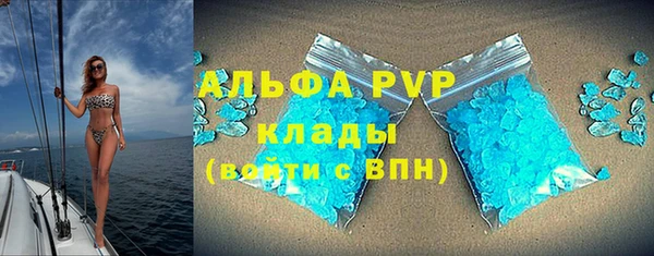амф Верхний Тагил