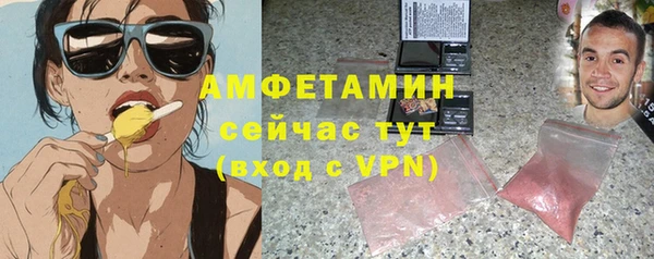 амф Верхний Тагил