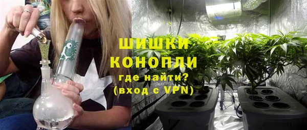 амф Верхний Тагил