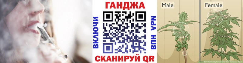 Каннабис Bruce Banner  Купить закладки  Междуреченск 